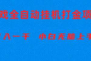 （10215期）全自动游戏打金搬砖项目，日入1000+ 小白无脑上手