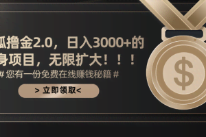 (11196期)搜狐撸金2.0日入3000+,可无限扩大的翻身项目