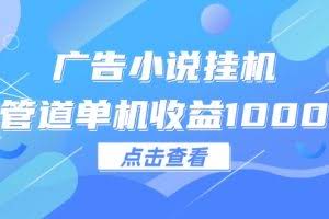 （12198期）广告小说挂机管道单机收益1000+